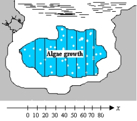 <strong>Suppose the presence of phosphates in certain waste products dumped into a lake promotes the growth of algae. Rampant growth of algae affects the oxygen supply in the water, so an environmental group wishes to estimate the area of algae growth. The group measures the length across the algae growth (see the figure) and obtains the following data (in feet). β Use 8 rectangles with bases of 10 feet and lengths measured at the left-hand endpoints to approximate the area of the algae growth. β β</strong> A)1,730 sq ft B)1,704 sq ft C)2,076 sq ft D)2,520 sq ft E)2,556 sq ft