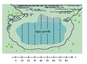 The presence of phosphates in certain waste products dumped into a lake promotes the growth of algae. Rampant growth of algae affects the oxygen supply in the water, so an environmental group wishes to estimate the area of algae growth. Group members measure across the algae growth (see the Figure) and obtain the following data (in feet). Use Simpson's Rule to approximate the area of the algae growth and round your answer to the nearest square foot. 