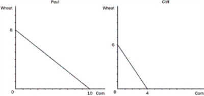 <strong>Figure 3-1 Refer to Figure 3-1. Assume that Cliff and Paul were both producing wheat and corn, and each was dividing their time equally between the two. Then they decide to specialize in the product they have a comparative advantage in. What would happen to the total production of corn?</strong> A) It would increase by 1 bushel. B) It would increase by 3 bushels. C) It would increase by 5 bushels. D) It would increase by 7 bushels.