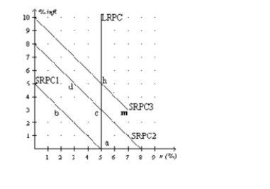 <strong>Figure 16-4 Refer to the Figure 16-4. Along SRPC3, what is the expected rate of inflation?</strong> A) 0 percent B) 2 percent C) 3 percent D) 5 percent