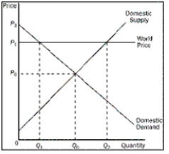 <strong>Figure 9-3 Figure 9-3 represents the domestic hoverboard market in Canada.What would be the equilibrium price and the equilibrium quantity of hoverboards in Canada before trade</strong> A)P₀, Q₀ B)P₁, Q₂ C)P₁, Q₁ D)P₀, Q₁