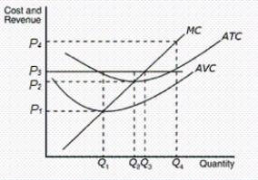 <strong>Figure 14-1 Refer to Figure 14-1.When the price is P₂ and the firm maximizes its profit or minimizes its losses,what will occur at the firm</strong> A)It will experience a positive profit. B)It will experience a zero profit. C)It will experience a loss, but continue to operate. D)It will shut down.
