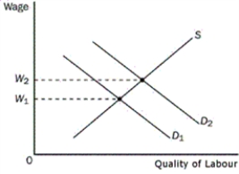Figure 18-4 -Refer to Figure 18-4.Assume that W₁ = $20 and W₂ = $22 and that the market stays in equilibrium.What would happen to the marginal product of labour if the labour demand curve shifts from D₁ to D₂