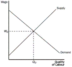 Figure 20-1 -Refer to Figure 20-1.If the government imposes a minimum wage below Wo,which effect is it likely to have