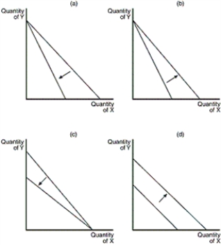 <strong>Figure 21-2 Refer to Figure 21-2.Which of the graphs in the figure reflects an increase in the price of good Y only</strong> A)graph (a) B)graph (b) C)graph (c) D)graph (d)
