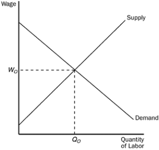 <strong>Figure 20-5 Refer to Figure 20-5. If the government imposes a minimum wage above W<sub>o</sub>, it is likely to</strong> A)increase employment to a level above Q<sub>o</sub>. B)reduce employment to a level below Q<sub>o</sub>. C)provide more income to the working poor than they collectively received before the minimum wage was set. D)have no effect on employment.