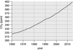 According to the data presented in the graph, between 1960 and 2000, CO<sub>2</sub> levels rose approximately ppm.  