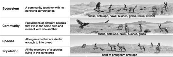 Which of the following is NOT a part of the community shown in this figure?