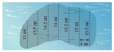 Estimate the surface area of the oil spill shown in the figure using the Midpoint Rule. 