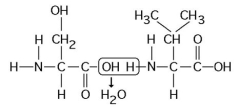 -Which of the following statements is/are true regarding the chemical reaction illustrated in the figure above?