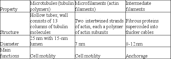 <strong> The differences among the three categories of cytoskeletal elements outlined in the table above would suggest that each of the following has specialized roles.Which of the following is a correct match? (All three elements are involved in the maintenance of cell shape.)</strong> A)microfilaments and the nuclear lamina B)microtubules and cleavage furrow formation C)microfilaments and ciliary motion D)intermediate filaments and cytoplasmic streaming E)microtubules and chromosome movement