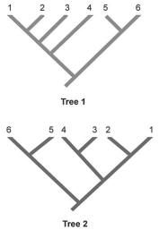 -The best classification system is that which most closely