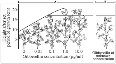 -The results of this experiment,shown on the left of the graph (area A),may be used to