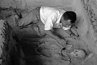 <strong>Which subfield of anthropology traces the history of human evolution in fossils? </strong> A) prehistoric archaeology B) primatology C) evolutionary archaeology D) paleoanthropology