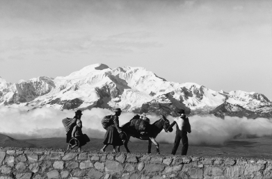 <strong>People from the high-altitude highlands of South America develop larger lung capacity in order to process more oxygen. Why does this same lung capacity not reverse if these individuals move to a lower altitude? </strong> A) Altitude acclimatization is permanent. B) Advantageous phenotypic traits are genetically determined. C) This trait is a variation that results from only genetic factors. D) This is a permanent developmental adaptation.