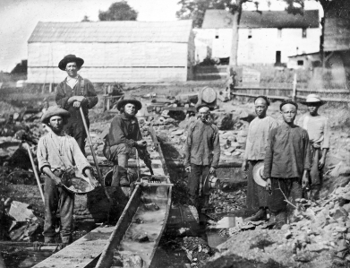 <strong>Chinese immigrants to the United States were quickly separated according to an arbitrary set of characteristics, including slight differences in skin color. The Irish immigrants were similarly segregated, despite having white skin. What was one of the bases on which the Irish were segregated and racialized? </strong> A) hair color B) island origin C) height D) religion
