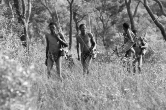Robert Gordon's ethnography of the Bushmen challenges many stereotyped beliefs about foraging societies and notes their ethnic diversity and linguistic diversity. What is one of the surprising elements that Gordon's work reveals?