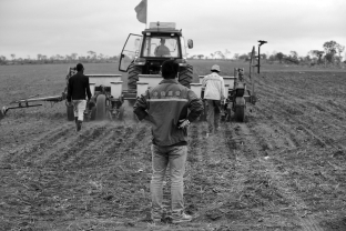 Industrialized agriculture is noted in the text as having yielded dramatic increases in the overall food supply of the planet. At the same time, poverty and starvation have also gotten worse. What is the primary reason for this discrepancy?