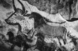 <strong>What does the analysis of European Paleolithic cave art indicate? </strong> A) These designs were painted by one individual. B) There were no burials associated with the paintings. C) The paintings depicted an equal number of humans and animals. D) The paintings were modified over a 20,000-year period.