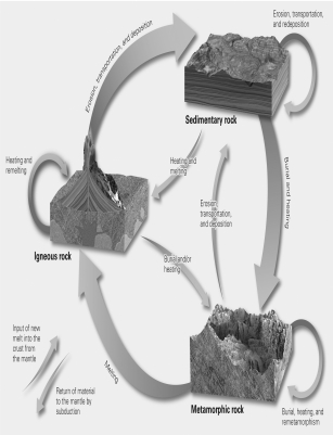 <strong>What is the name of the cycle shown in the picture? </strong> A)hydrologic cycle B)erosion cycle C)rock cycle D)carbon cycle