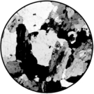 <strong>What is the term used for the arrangement of the minerals in the picture? </strong> A)equant B)porous C)crystalline D)cemented