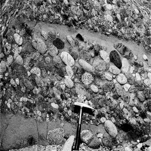 <strong>What type of rock is shown in the picture? </strong> A)sedimentary B)igneous C)metamorphic D)crystalline