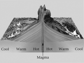 <strong>The image below shows ________,where a hot liquid rises into a cooler material,and heat then conducts from the hot liquid into the cooler material.  </strong> A)advection B)conduction C)convection D)radiation <div style=padding-top: 35px> 