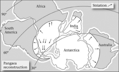<strong>Late Paleozoic glacial deposits are NOT found in which of the following places?  </strong> A)India B)southern Africa C)North America D)South America <div style=padding-top: 35px> 