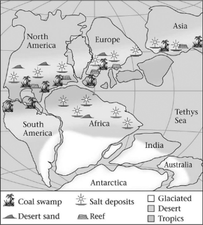 Consult the figure below.Abundant swamps led to the formation of coal during the Late Paleozoic in which of the following places?