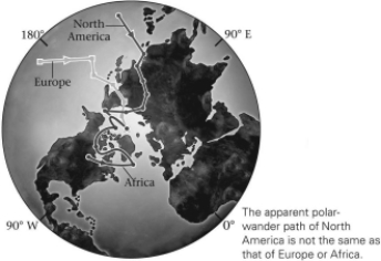 <strong>The discovery that each continent had different and separate polar-wander paths such as those in the figure below proved that ________.  </strong> A)only the continents move B)only the poles move C)both the poles and continents move,but independently of each other D)both the poles and continents move,and do so together <div style=padding-top: 35px> 