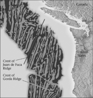 <strong>According to the figure below,marine magnetic anomalies lay roughly ________ to mid-ocean ridges.  </strong> A)perpendicular B)parallel C)adjacent D)at an obtuse angle <div style=padding-top: 35px> 