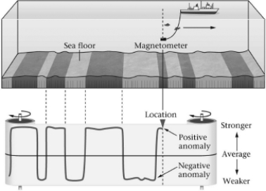 <strong>Consult the figure below.Marine magnetic anomaly belts are widest when and where ________.  </strong> A)continents are joined to form supercontinents B)seafloor spreading rates are relatively rapid C)seafloor spreading rates are relatively slow D)supercontinents first began to rift apart <div style=padding-top: 35px> 