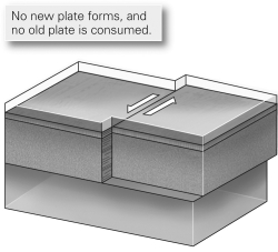 <strong>Which basic type of plate boundary is shown in the image below?  </strong> A)divergent B)convergent C)transvergent D)transform <div style=padding-top: 35px> 