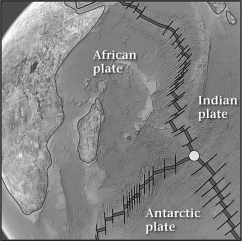 <strong>A triple junction,like the one shown below,is a place on Earth's surface where ________.  </strong> A)three volcanoes form a tight,triangular cluster B)glacial ice,continental rocks,and the ocean can be found together C)the boundaries of three lithospheric plates meet at a single point D)all three of the basic rock types are found in the same location <div style=padding-top: 35px> 