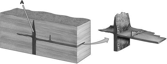 <strong>In the figure provided below,what type of igneous intrusion is the vertical rock unit shown by letter A? </strong> A)dike B)sill C)pluton D)laccolith