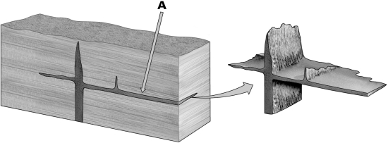 <strong>In the figure provided below,what type of igneous intrusion is the horizontal rock unit shown by letter A? </strong> A)dike B)sill C)pluton D)laccolith