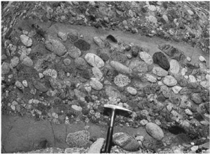 <strong>The image below shows an outcrop of coarse-grained sedimentary rock.Note the rock hammer for scale.What is the name of this rock type? </strong> A)sandstone B)shale C)breccia D)conglomerate