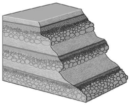 <strong>The image below shows a series of graded beds.How many graded beds are shown? </strong> A)1 B)3 C)12 D)15