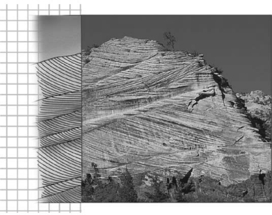 <strong>The image below shows ancient dunes exposed in Zion National Park in Utah.Using the interpreted portion of the image at the left,what was the dominant wind direction that formed these sedimentary structures? </strong> A)toward the right B)toward the left C)toward both the left and right D)vertically both up and down
