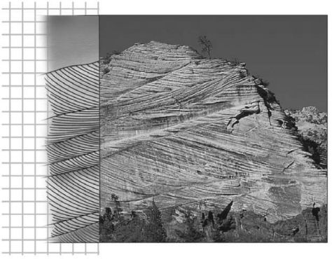 <strong>Consult the figure below.Here,distinct internal laminations are inclined at an angle to the boundary of the main sedimentary layers.This is termed ________. </strong> A)graded beds B)cross beds C)horizontal beds D)tilted beds