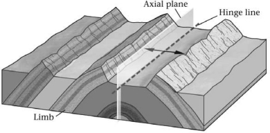 <strong>A fold shaped like an elongate arch is a(n)________.  </strong> A)anticline B)basin C)dome D)syncline <div style=padding-top: 35px> 