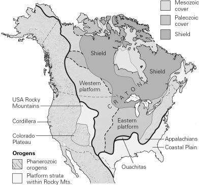 <strong>Through geologic time,continents have drifted over the surface of Earth,but each continent has ________. </strong> A)always been about as large as it is today B)grown by the addition of Precambrian shields C)grown by addition of crustal fragments D)grown by crustal stretching