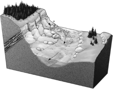 <strong>Consult the figure below.________ deposits form where erosion produces clasts of native metals. </strong> A)Secondary-enrichment B)Placer C)Mississippi Valley-type D)Magmatic