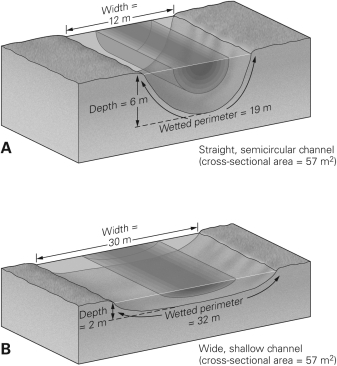 <strong>The figure below shows two hypothetical streams that have identical cross-sectional areas but different channel shapes.Assuming all other factors are equal,stream ________ will have the fastest flow because of the difference in ________.  </strong> A)A;width B)A;wetted perimeter C)B;width D)B;wetted perimeter <div style=padding-top: 35px> 