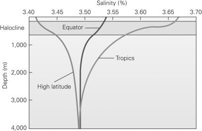 <strong>Why is the surface salinity in the tropics so much higher than that of the equator or high latitudes?  </strong> A)There is a higher evaporation rate and a lower rate of precipitation in the tropics. B)There is a lower evaporation rate and a higher rate of precipitation in the tropics. C)There are more continents in the tropics and thus more sediment weathered. D)There is a large influx of freshwater from rivers along the equator. <div style=padding-top: 35px> 