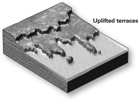 <strong>What will eventually happen to the headlands in the figure below?  </strong> A)They will join as the bays in between fill with sediment. B)They will become a straight line of cliffs as rock is eroded away. C)They will remain as they are for millions of years. D)The sea will submerge them as the terrace is uplifted. <div style=padding-top: 35px> 