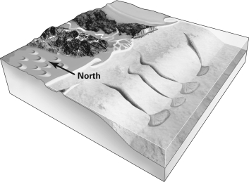 <strong>In the figure below,which direction is the longshore drift?  </strong> A)south B)east C)west D)It is not possible to tell. <div style=padding-top: 35px> 