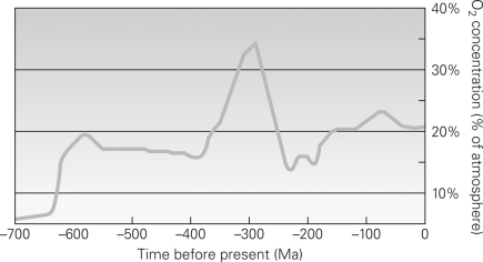 <strong>Consult the figure below.During which period of Earth's history was the oxygen saturation in the atmosphere highest? </strong> A)Hadean Era B)Cambrian Era C)Carboniferous Era and Permian Era D)Cenozoic Era