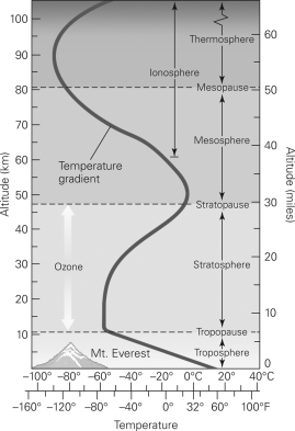 <strong>In which layer in the figure below will the temperature increase as you move to higher altitudes? </strong> A)the troposphere B)the stratosphere C)the mesosphere D)the thermosphere