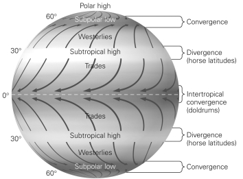 <strong>In the figure below,the intertropical surface convergence became known as the doldrums because ________. </strong> A)many horses died of heat exhaustion while being transported B)the wind moves in the wrong direction for trade ships C)the winds along the equator are very slow D)the airflow is mainly downward